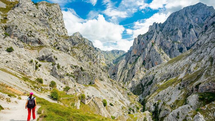 Picos de Europa, Asturias