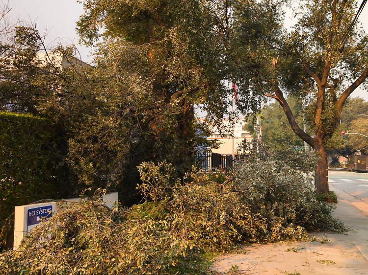 Another round of Santa Ana winds might return to parts of L.A. next week