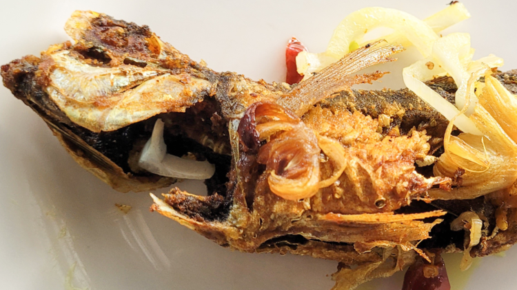 A fried fish