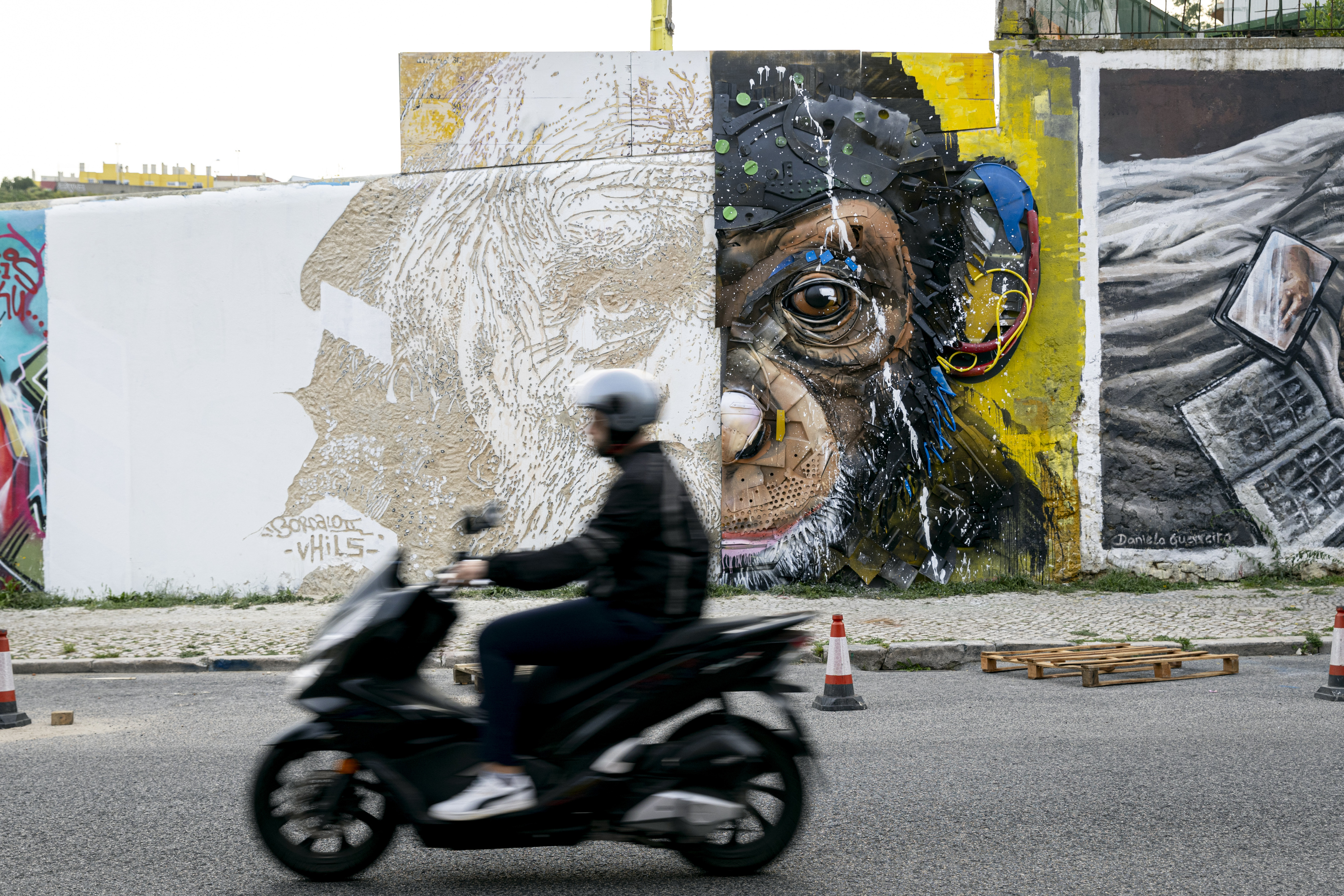 Lisbon's Stunning Murals Compete for Global Street Art Recognition