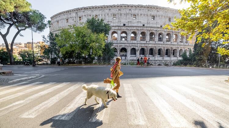 Woman crossing street with her dog in front of Coliseum