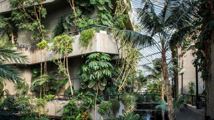 Check out the Barbican Conservatory