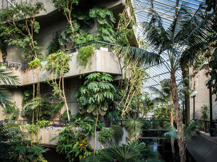 Check out the Barbican Conservatory