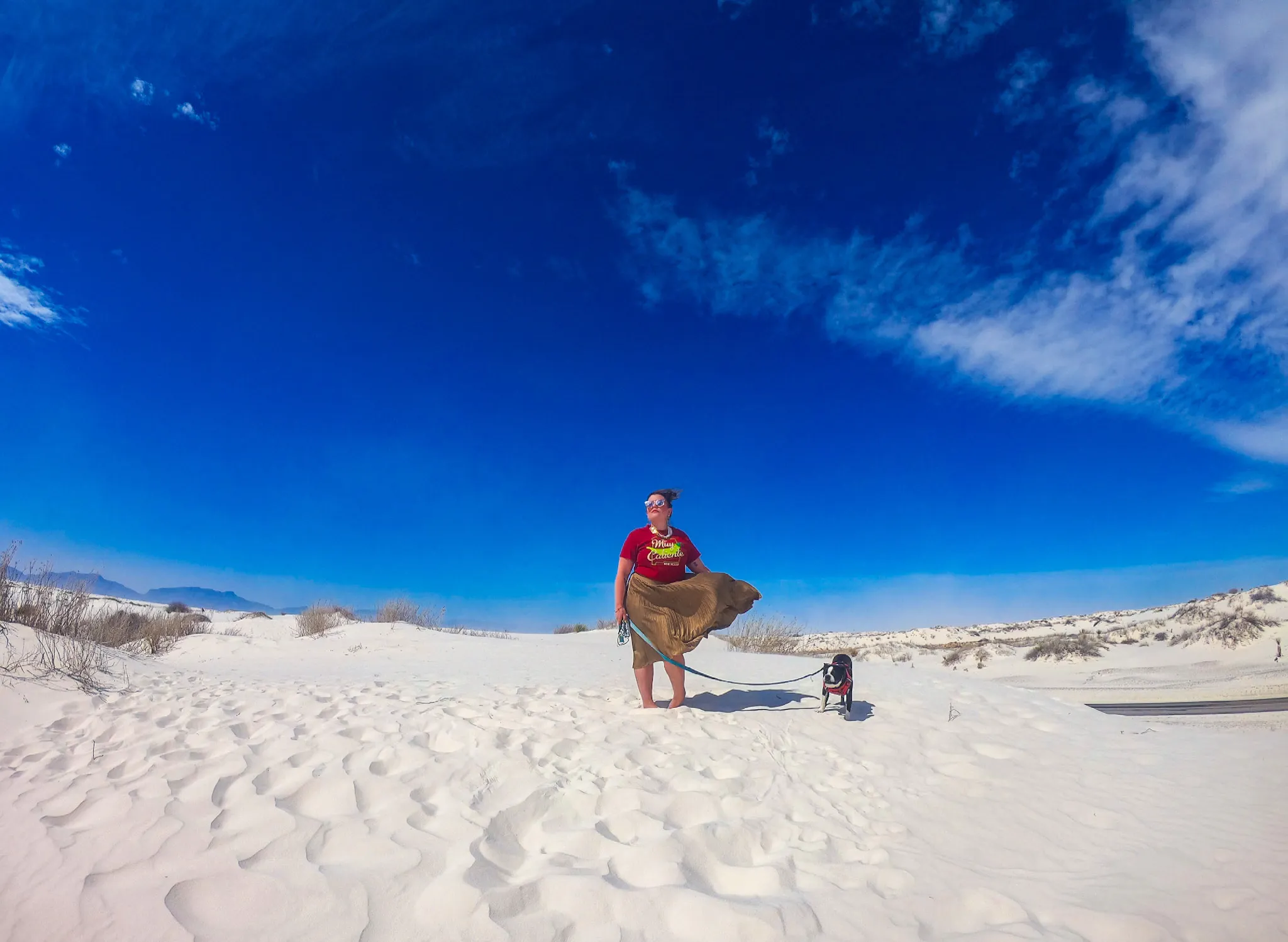 Bowie in White Sands, New Mexico