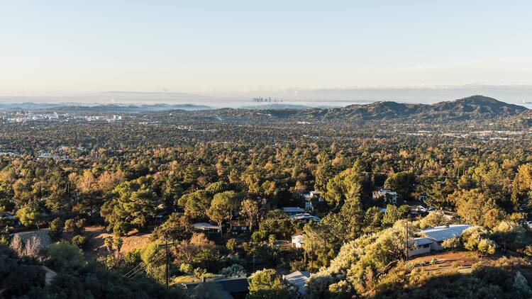 Morning view of Altadena, Pasadena and downtown Los Angeles from San Gabriel Mountains hilltop in Southern California.