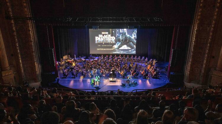 Black Panther in Concert