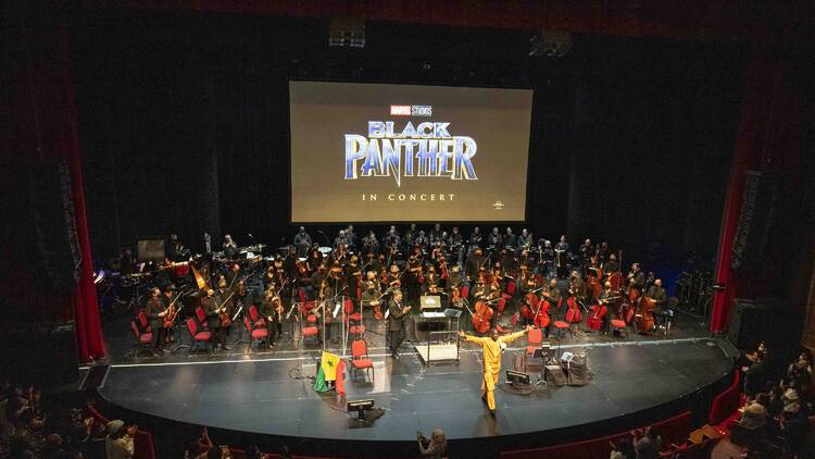 Black Panther in Concert