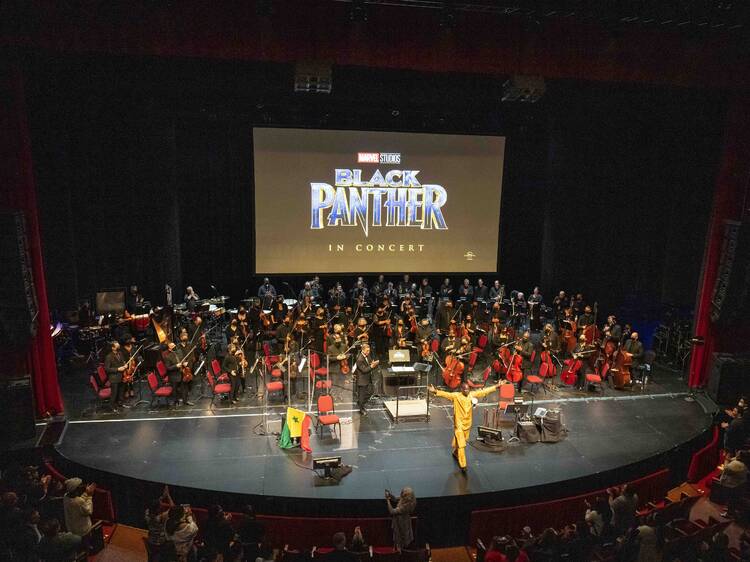 Black Panther in Concert