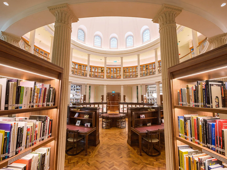 Be immersed in books at a library