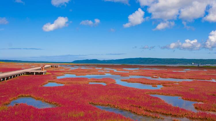 Red Beach, China