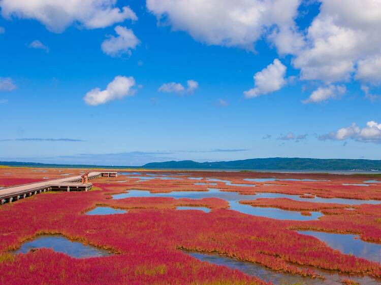 Red Beach, China