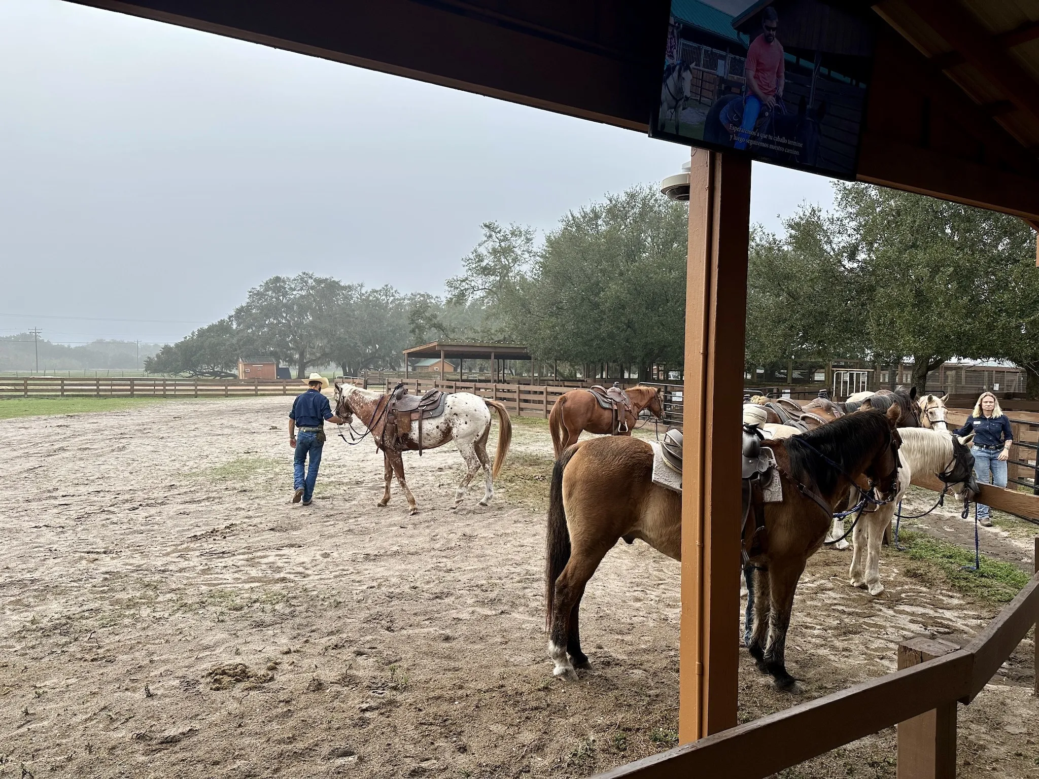 Westgate River Ranch Resort & Rodeo