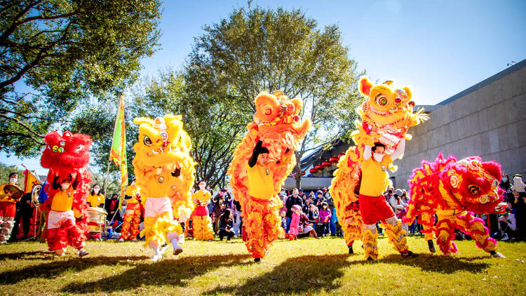 Where to celebrate the Lunar New Year in Texas