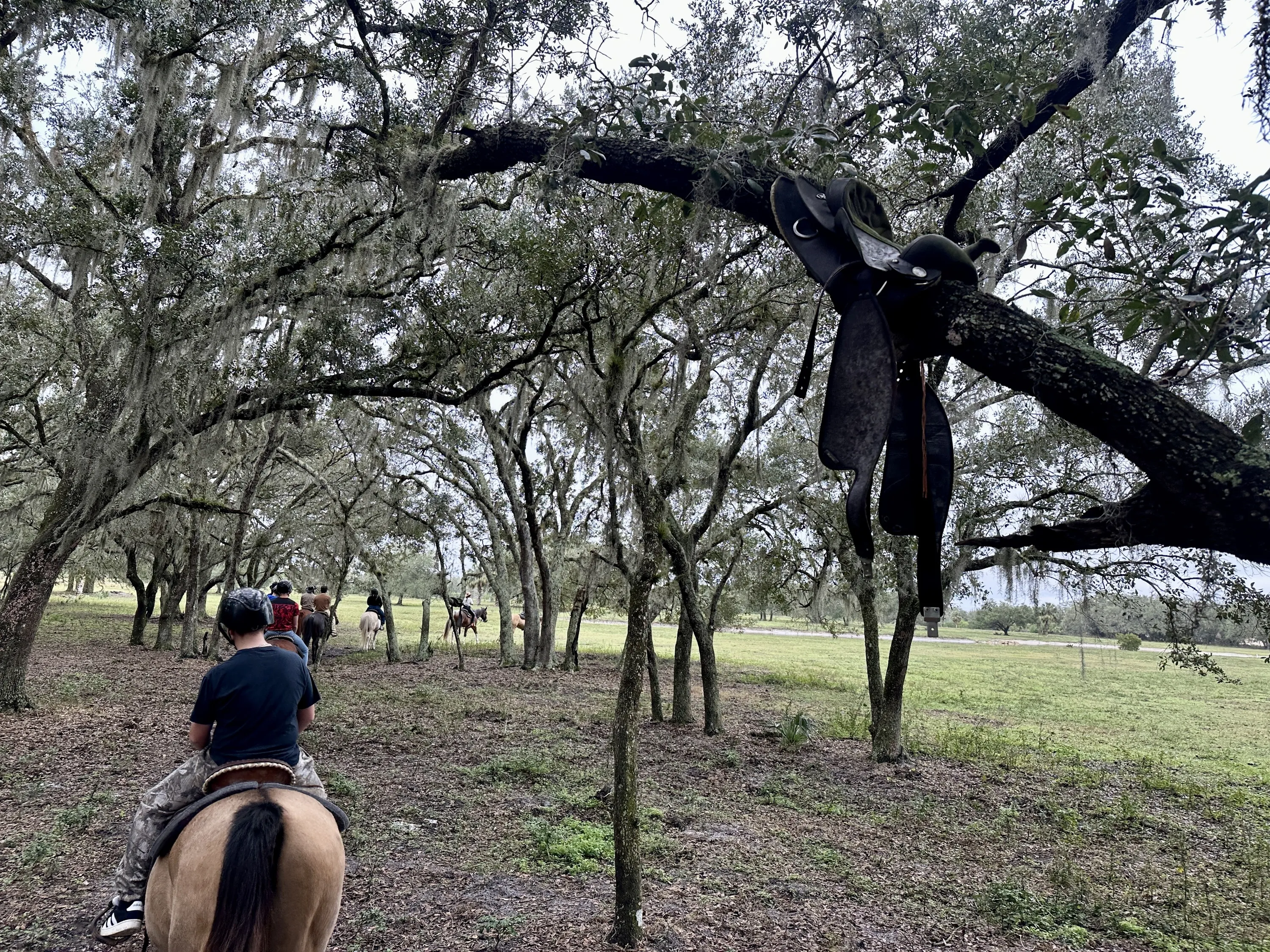 Westgate River Ranch Resort & Rodeo