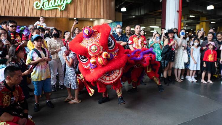 Shop for lanterns and other lunar new year essentials at Paddy's Market