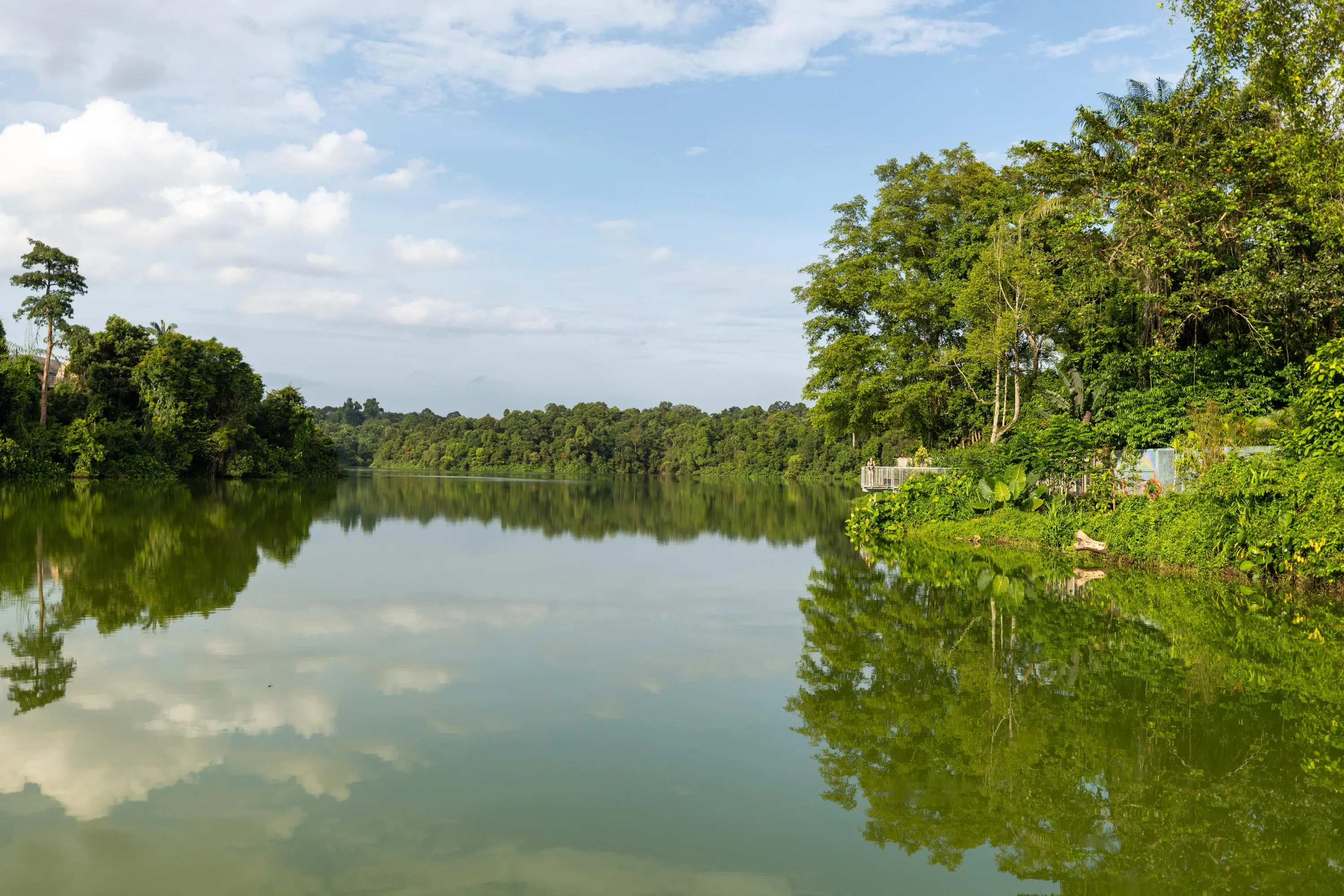 Mandai Boardwalk Seletar Reservoir view
