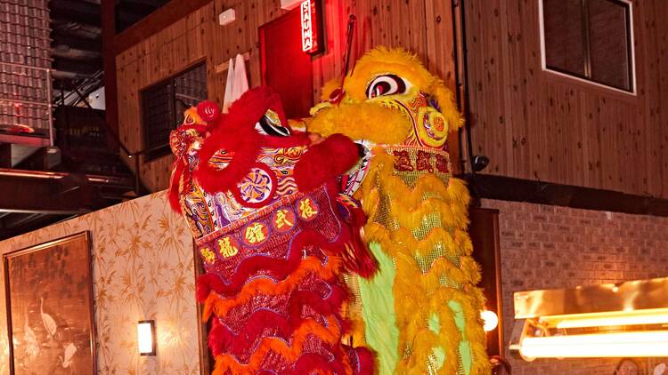 Lunar New Year at The Bob Hawke Beer & Leisure Centre