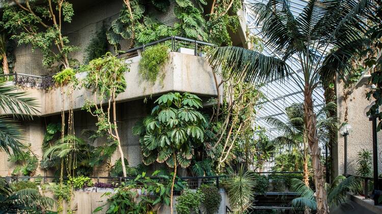 Take a walk on the wild side at Barbican's tropical paradise