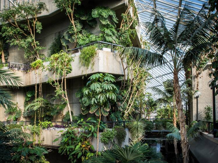 Take a walk on the wild side at Barbican's tropical paradise