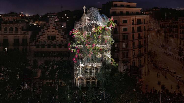 Casa Batlló I 'Arborescent', Quayola