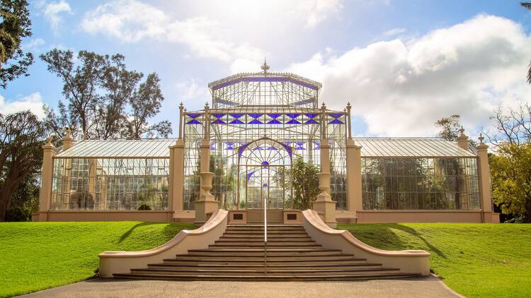 Go on a guided walk around the Adelaide Botanic Garden