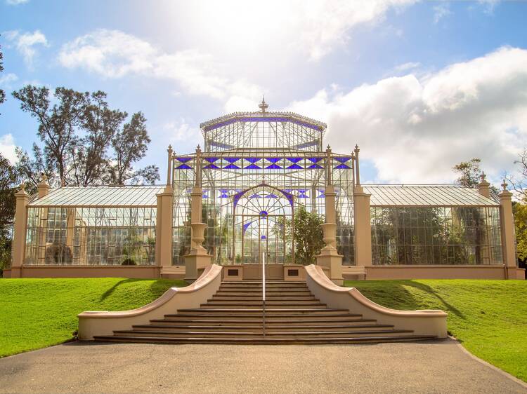 Go on a guided walk around the Adelaide Botanic Garden