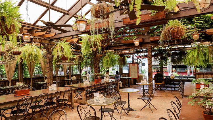 Outdoor dining space with hanging plants