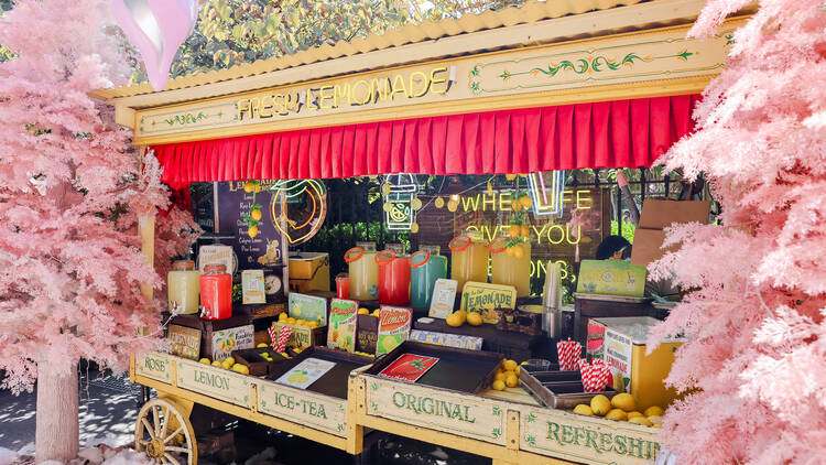 Lemonade stand