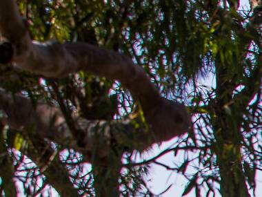 Get moving on these beautiful walking trails Get moving on these beautiful walking trails