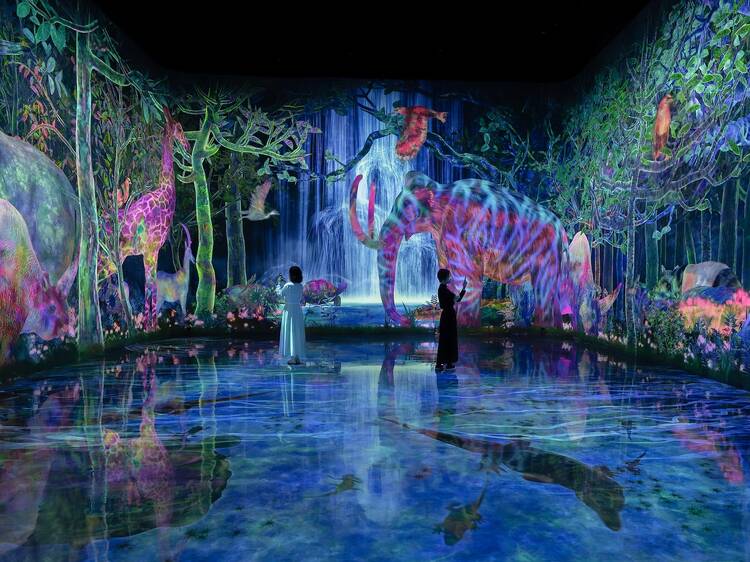 teamLab Planets is expanding with new artworks