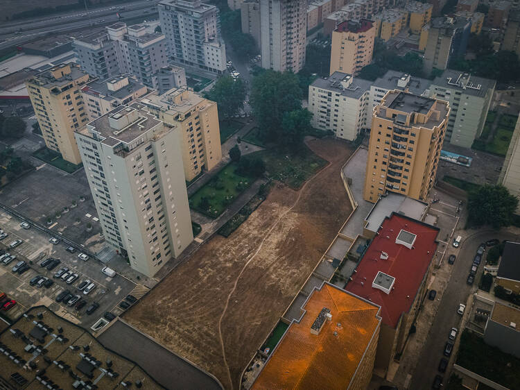 Jardim Senhora do Porto: novo espaço verde da cidade nasce no Verão