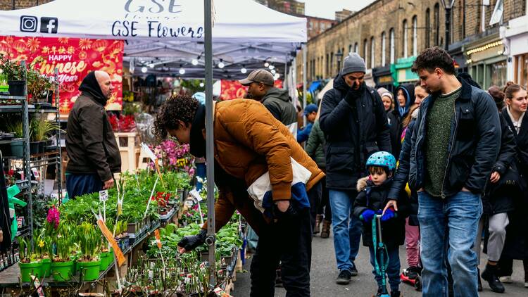 Columbia Road Flower Market