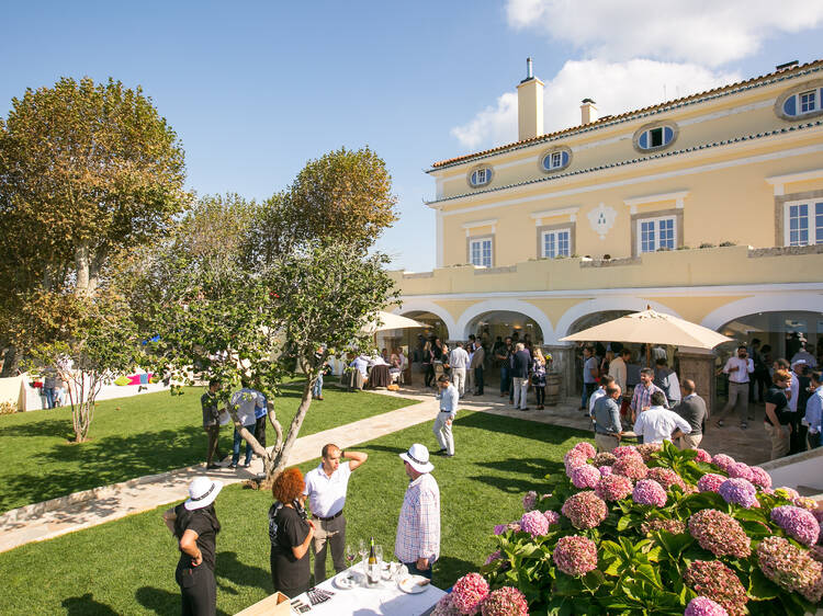 At this farm in Colares you can be a winemaker for a day