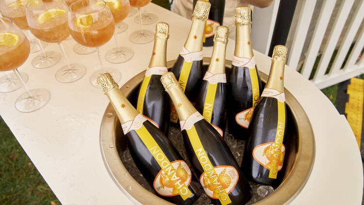 A bowl of unopened sparkling bottles