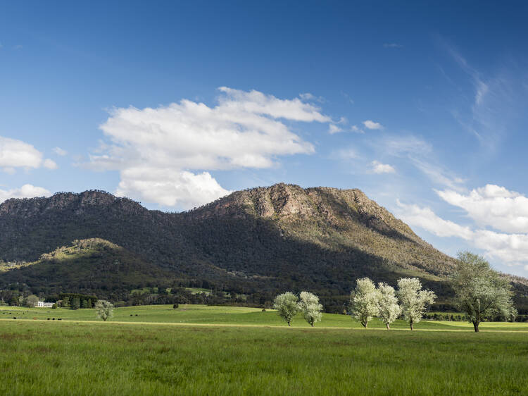 Cooks Mill Campground, Taggerty