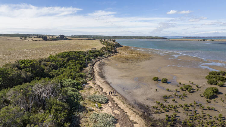 Fairhaven Campsite, French Island