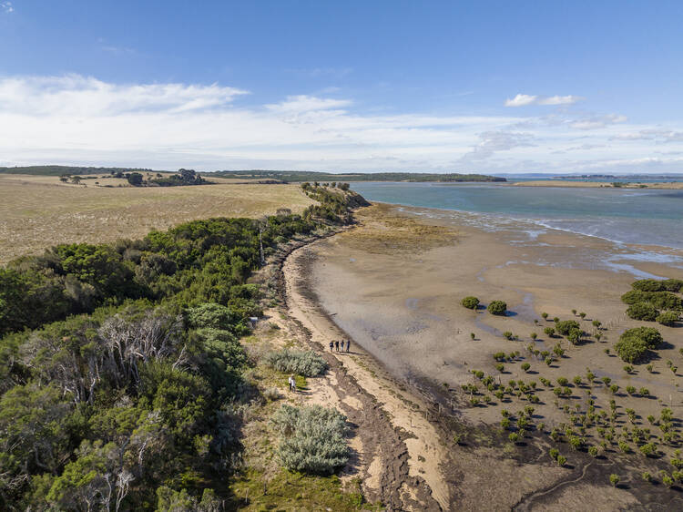 Fairhaven Campsite, French Island