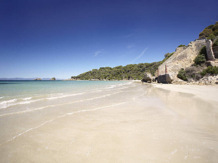 Bear Gully Campground, Tarwin Lower