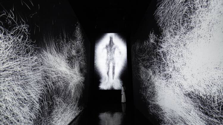 Full installation view of 'Dissipative Figures – Human, Light in Dark' and '1000 Birds, Light in Dark'