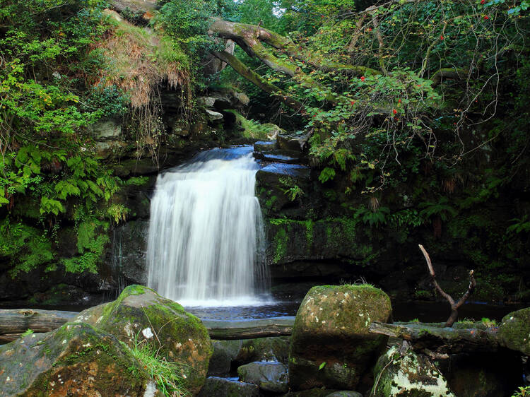 Falling Foss Tea Garden