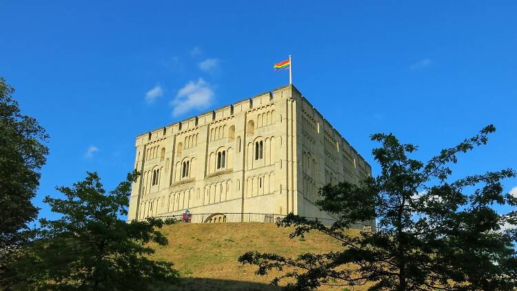 Norwich Castle Museum