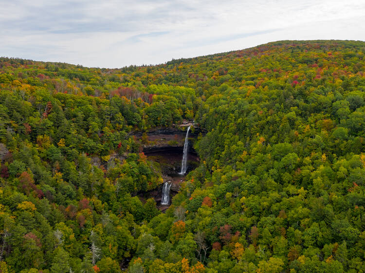 The Great Northern Catskills, USA