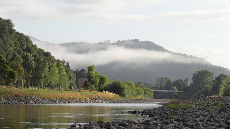 Mangaroa​, New Zealand