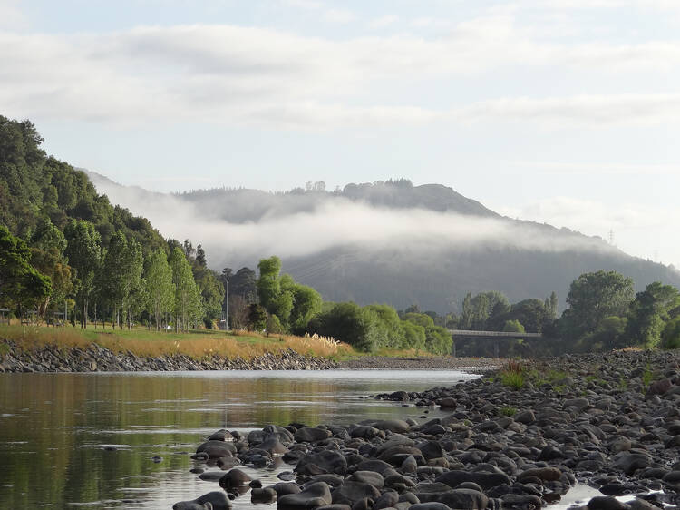 Mangaroa​, New Zealand