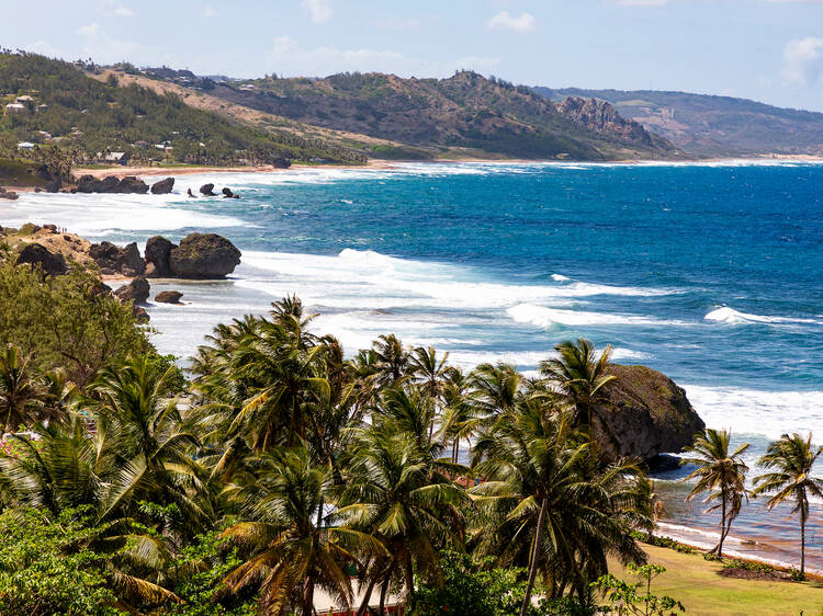 View on the wild east coast of the island Barbados with view on Bathsheba Beach