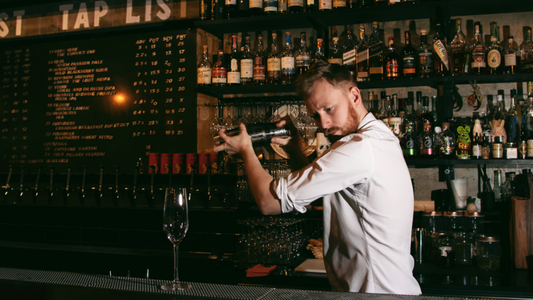 Bartender shaking up a cocktail.