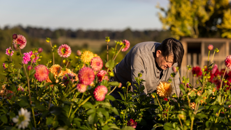 Annie at her work in her farm.