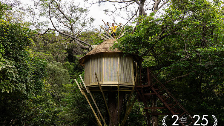 Treeful Treehouse