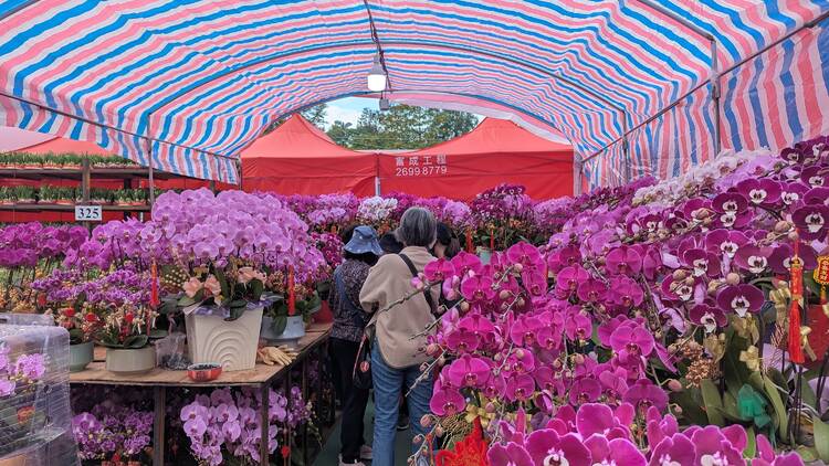 香港新年市集及年宵花市2025：全港15大年宵花市維園年宵開放時間、地點、交通