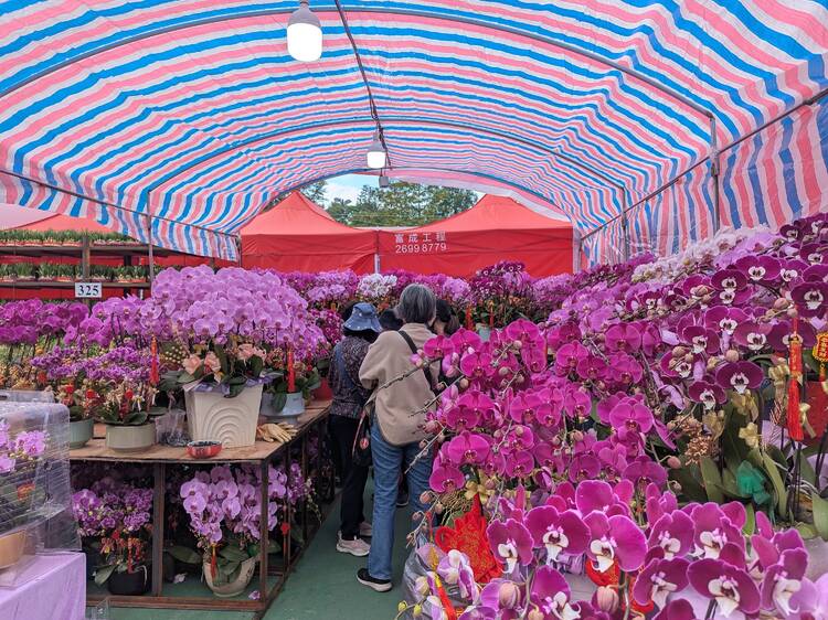 香港新年市集及年宵花市2025：全港15大年宵花市維園年宵開放時間、地點、交通